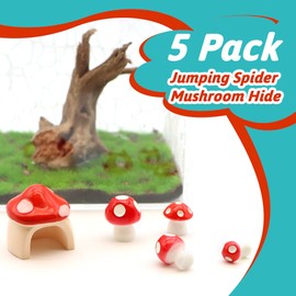 LUTQ 5 Pack Jumping Spider Habitat Décor with Mushroom Hide - Resin Jumping Spider Accessories and Enclosure Accessories for Spider Lovers