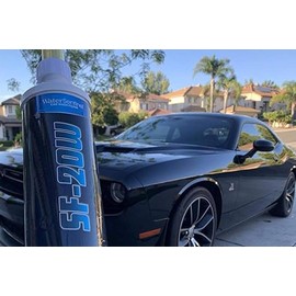 WaterSentinel SF-20W Spotless Car Wash Inline Deionized Water Garden Hose Water Filter & Extension Adapter for RV, Boat, Marine, Motorcycle, Home, Windows, Spot Free Wash, Solar Panels