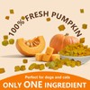 JADINGSFARM Pumpkin for Dog, Freeze Dried Pumpkin Dog Cat Treats,