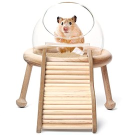 Tuksik Hamster Sand Bath Kit,360° Viewing Container Space Capsule,Glass Bathing Bowl With Wooden Ladder Detachable and Washable for Small Pet Animals Cage Accessories