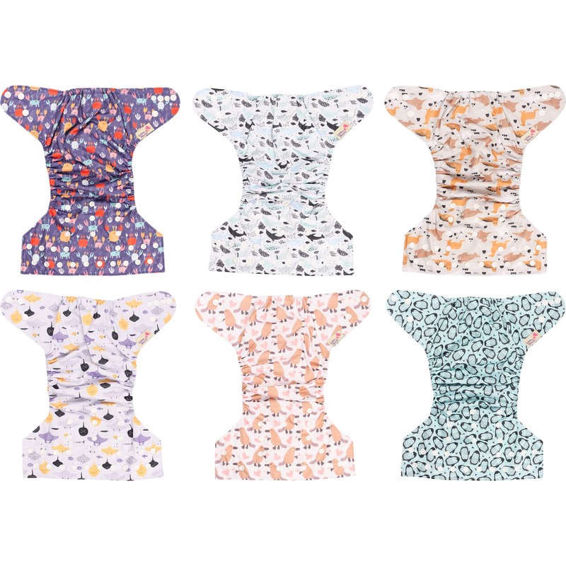 Littles & Bloomz 6 Reusable Pocket Cloth Nappies (Popper), P0601
