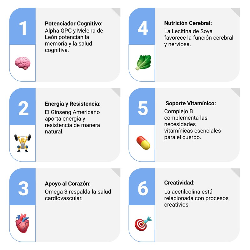 Sapientia Studia Nootrópico 100% natural - Complejo B, Leticina de