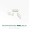 Genestra Brands - Pregna Vite - Prenatal & Postpartum Vitamin-Mineral