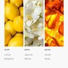 Cabana Diffuser Oil 10ml – Hotel Scents for Home Diffuser