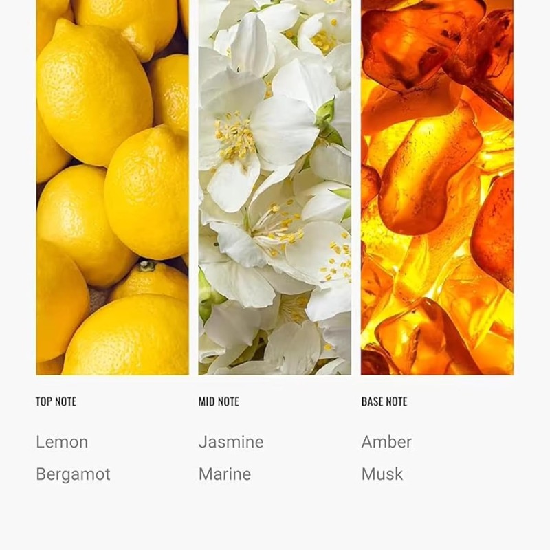 Cabana Diffuser Oil 10ml – Hotel Scents for Home Diffuser