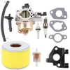 Dalom GX240 Carburetor w Air Filter Fuel Line for GX270