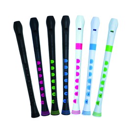 Recorder+ White/Green with hard case (6)