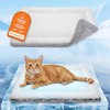 Dog Cooling Mat, Self Warming Cat Bed, Reversible Warm &