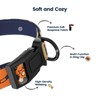 PawView Hundehalsband & Leine Set mit Smart ID Tag –