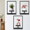 Writpoty Picture Frame Wall Plant Holder, Window Plant Shelves, Metal