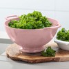 Zeal G211P Colander, Melamine