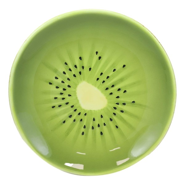 Ebros 8.25" Wide Gourmet Kitchen Presentation Ceramic Mouthwatering Sliced Kiwi