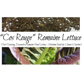 “Cos Rouge” Lettuce Seeds – Fast-Growing Romaine-Type Head Lettuce – Harvest in 45 Days | Never GMO, Always Heirloom and Open-Pollinated | USA Grown Seeds by Liliana's Garden |