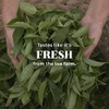 Green Tea, ORIGINAL , 100 BAG by Uncle Lees Teas