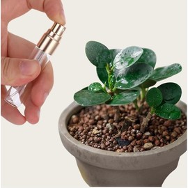 Sndperiexam 10 PCS 5ml Clear Atomizer Glass Bottles Mini Spray Bottles Portable Perfume Travel Refillable Bottle Mist Travel Sprayer, For Perfume,Moisturizing Water