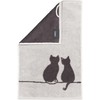 Cute Cats Edition You & Me 6263 Hand Towels Platinum