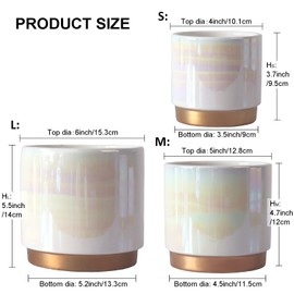 Gepege White Indoor Pots for Plants, Ceramic Planter with Drainage Hole, 6.0 inch+5.0 Inch+4.0 Inch. Succulent Orchid Flower Pot - Rainbow Pearl Glaze