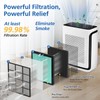 Vital 200S-P Smoke Remover Replacement Filter Compatible with LEVOIT Vital