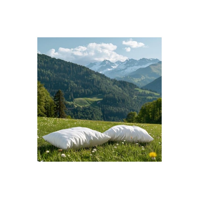 Dormisette Evolon Q222 Anti-Dust Mite Cushion Cover Size 40 x