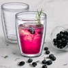 Amazing Abby Alaska 16-Ounce Insulated Tumblers (Set of 4), Double-Wall