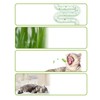 Cat Grass Pot | Organic Cat Grass Planter Tray |