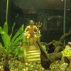 Simulation King Statue Aquarium Decoration Resin Safe Fish Tank Decoration