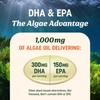 Vegan Omega 3 Algae Oil | Plant Based DHA EPA