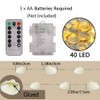 Starryfill Ocean Real Seashell 0.8"(H) 40 LED String Lights 13.85Ft