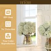 TETOTE 30" x 36" Rectangle Mirror with Frameless Tempered Beveled
