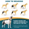 Dollephi Dog Knee Brace for Torn ACL Hind Leg, Hot/Cold