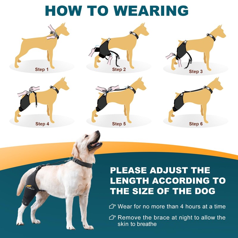Dollephi Dog Knee Brace for Torn ACL Hind Leg, Hot/Cold