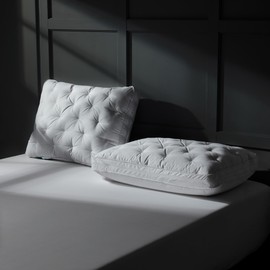 Three Geese Adjustable Layer Goose Feather Down Pillows Queen Set of 2, Assemblable Bed Pillow with Cotton Cover for Side/Back/Stomach Sleepers, Customizable Firmness Design 20x28