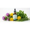 Extracto Herbal 60 Ml Cardo Mariano Diente De León Auraterra