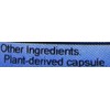 Dr Christopher's Formula Original Memory Plus, 100 Count