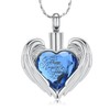 Hearbeingt Heart Cremation Jewelry Crystal Urn Necklace for Ashes Stainless