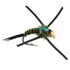 The Fly Fishing Place Tungsten Bead Head Rubber Legs Olive Black Zebra Copper John Nymph Fly Fishing Flies - Set of 6 Flies Hook Size 12