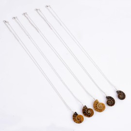 Gemkora Natural Ammonite Crystals Pendant Necklace Energy Gemstone Healing Crystals, Birthday, Gift for her, 925 Sterling Silver Jewelry 18 inch A+ Quality (1 pendant)