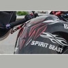 SPIRIT BEAST Motorcycle Tank Pad Anti-Scratch Seal Waterproof Reflective Universal