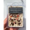New Moon Beginnings Autumn Spice Wax Melts Natural Healing Crystals
