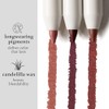 Julep- Delineador de labios retráctil cremoso de larga duración With