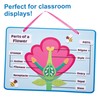 Baker Ross FN459 Flower Parts Biology Kits - Pack of