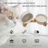 Elevated Dog Bowls and Cat Bowls Set to Minimize Neck