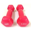 FXR Sports Vinyl Dumbbells 0.5kg (Pair)