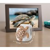 dgudgu Turtle Kitchen Sponge Holder for Kitchen Sink Ceramic Kitchen