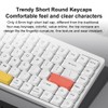 iBlancod Dual-mode Wireless Keyboard 2.4G+BT5.0 K84 Keyboard Low Axis Keyboard