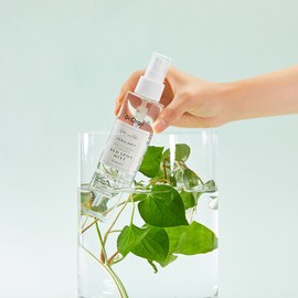 DR.Orga pH Balance Houttuynia Cordata Red Spot Mist Toner 150mL - DR.Orga pH Balance Houttuynia