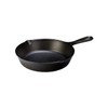 Lodge FBA_ Cast Iron, 8-Inch