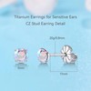 Limerencia Hypoallergenic G23 Titanium Earrings, F136 Implant Grade Pure Titanium,