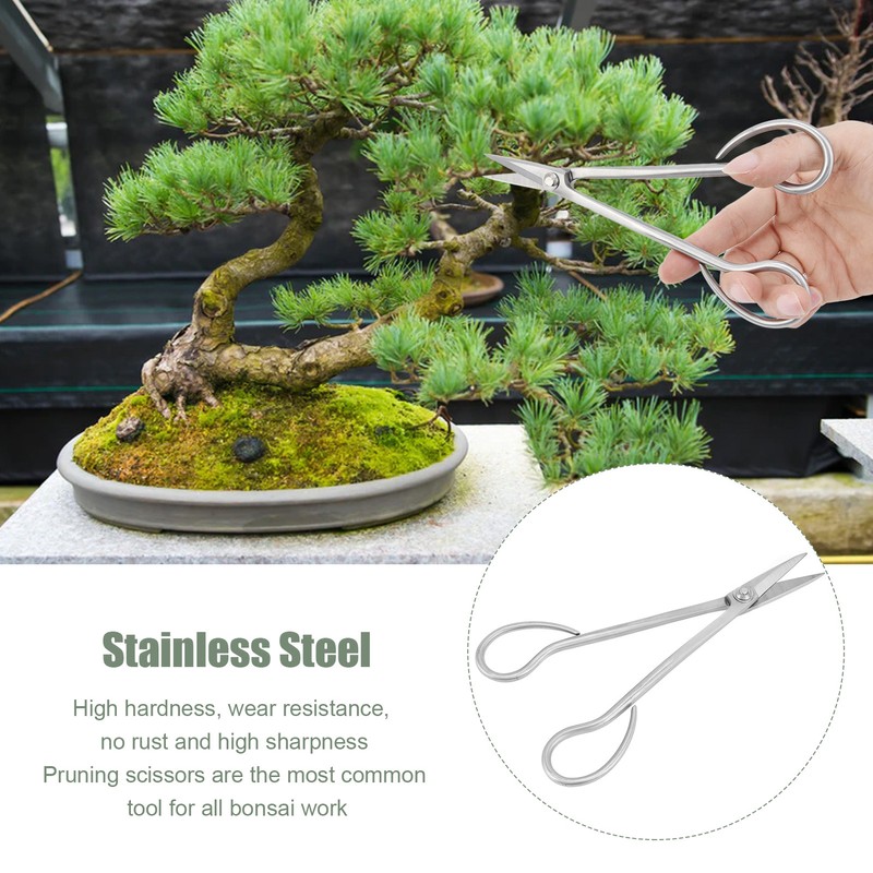 Bonsai Scissors Stainless Steel Leaf Sprout Shears with Long Handle