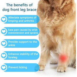 INDEEMAX Front Leg Brace for Dogs & Cats, Dog Leg Brace with Metal Spring Inserts, Dog Leg Sleeve for Carpal Support, Dog Leg Sleeve with Reflective Straps, L/XL, 1 Pack